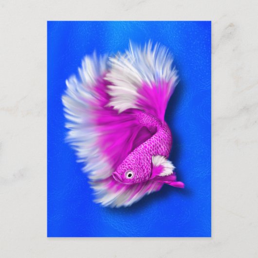 White en Hot Pink Betta Fish Briefkaart (Voorkant)