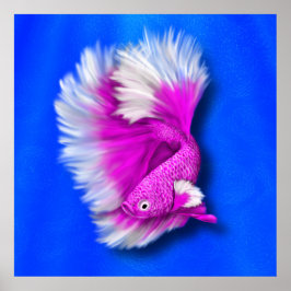 White en Hot Pink Betta Fish Poster
