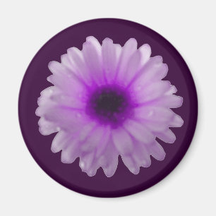 White en Paars Marigold Magnet