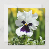 White en Paars Pansy Bridal Shower Kaart (Voorkant)