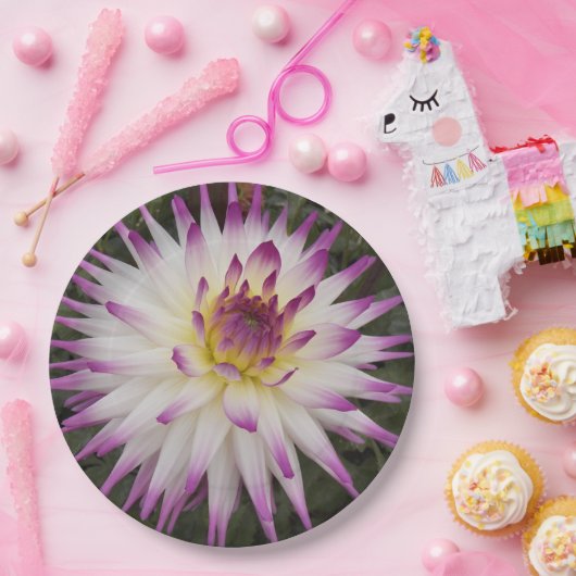 White en Paarse Cactus Dahlia Floral Papieren Bordje (Feest)