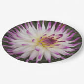 White en Paarse Cactus Dahlia Floral Papieren Bordje (Gekanteld)