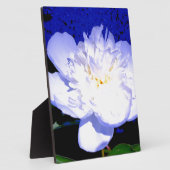 White en paarse Peony Fotoplaat (Zijkant)