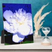 White en paarse Peony Fotoplaat (Zijkant)