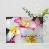 White en Pink Plumeria Kaart (Staand voorkant)