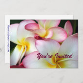 White en Pink Plumeria Kaart (Voorkant / Achterkant)