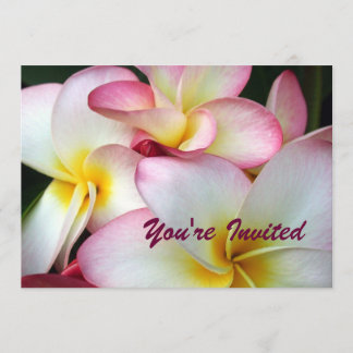 White en Pink Plumeria Kaart