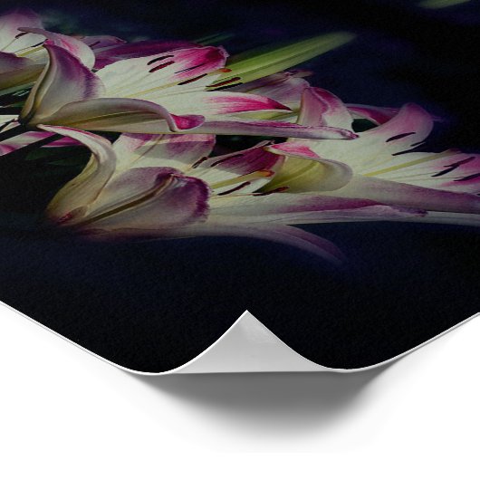 White en Red Lily Flowers Abstract Poster (Hoek)