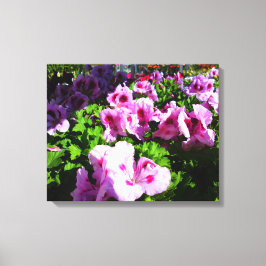 White en Red Lily Flowers Canvas Afdruk