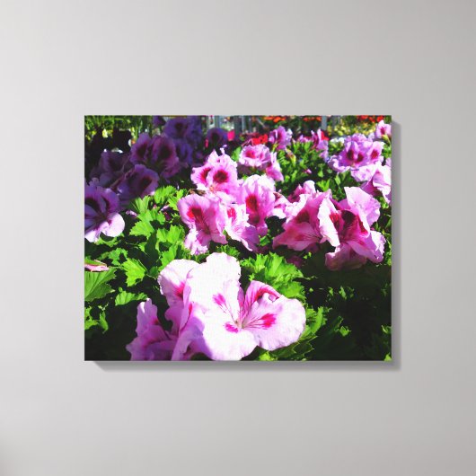 White en Red Lily Flowers Canvas Afdruk (Voorkant)