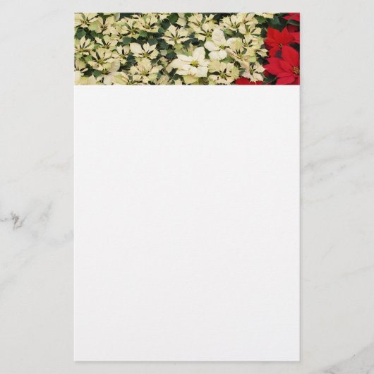 White en Red Poinsettias I Holiday Floral Briefpapier (Voorkant)