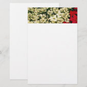 White en Red Poinsettias I Holiday Floral Briefpapier (Voorkant / Achterkant)