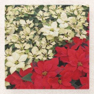 White en Red Poinsettias I Holiday Floral Glazen Onderzetter