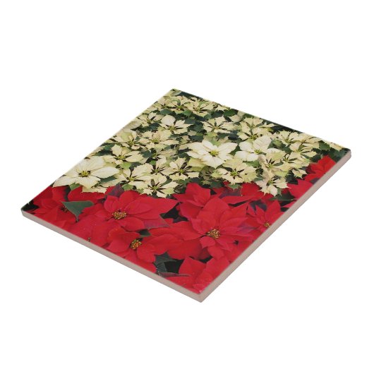 White en Red Poinsettias I Holiday Floral Tegeltje (Zijkant)