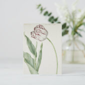 White en Red Tulip  Fine Art Briefkaart (Staand voorkant)