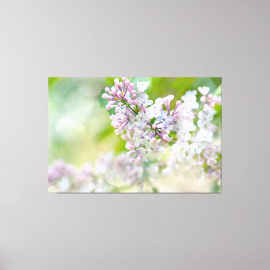 White en roze Misty Lilacs Canvas Afdruk (Voorkant)