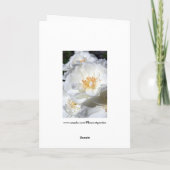 White en White - Rozen - Floral Photography Kaart (Achterkant)