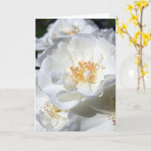 White en White - Rozen - Floral Photography Kaart (Gele Bloem)