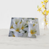 White en Yellow Flowers Close Happy Birthday Kaart (Gele Bloem)