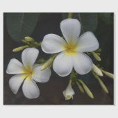 White en Yellow Plumeria Cadeaupapier (Vlak)