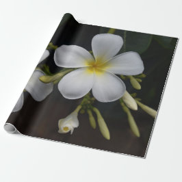 White en Yellow Plumeria Cadeaupapier