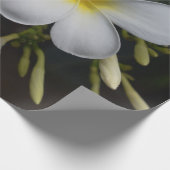 White en Yellow Plumeria Cadeaupapier (Hoek)