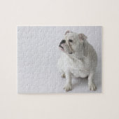 White English Bulldog Legpuzzel (Horizontaal)