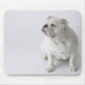 White English Bulldog Muismat (Voorkant)