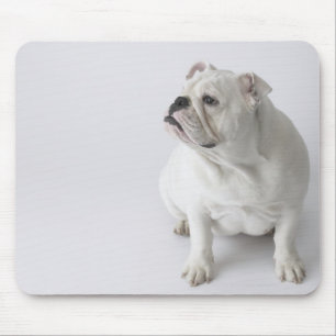 White English Bulldog Muismat