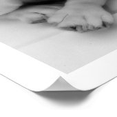 White English Bulldog Sitting Poster (Hoek)