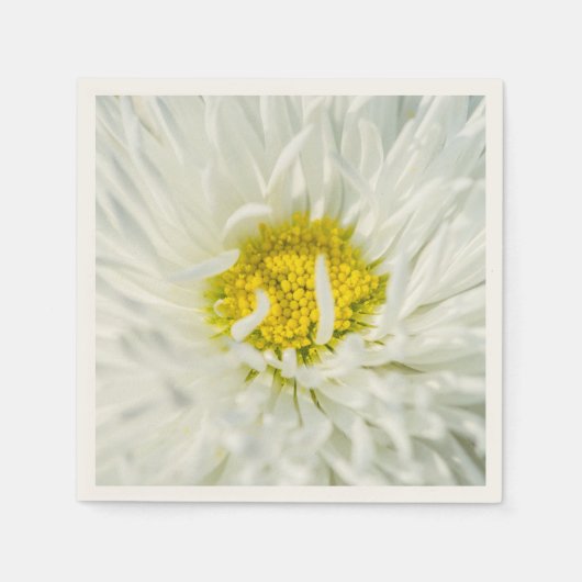 White English Daisy Flower Servet (Voorkant)