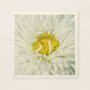 White English Daisy Flower Servet