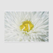 White English Daisy Flower Tissuepapier (Voorkant)
