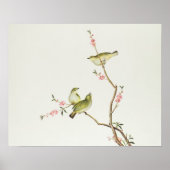 White-Eye bird, Ch'ien-lung period Poster (Voorkant)