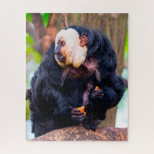 White Face Saki Monkey. Jigzaag Puzzle Legpuzzel
