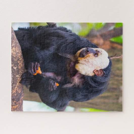 White Face Saki Monkey. Jigzaag Puzzle Legpuzzel (Horizontaal)