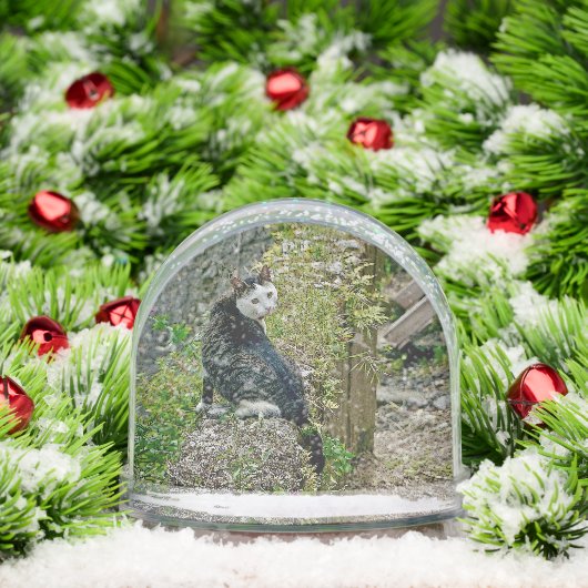 White -faced  black kitty sneeuwbol (Kerstmis)