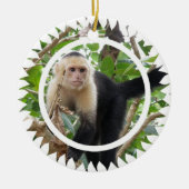 White faced Capuchin Monkey Ornament (Voorkant)