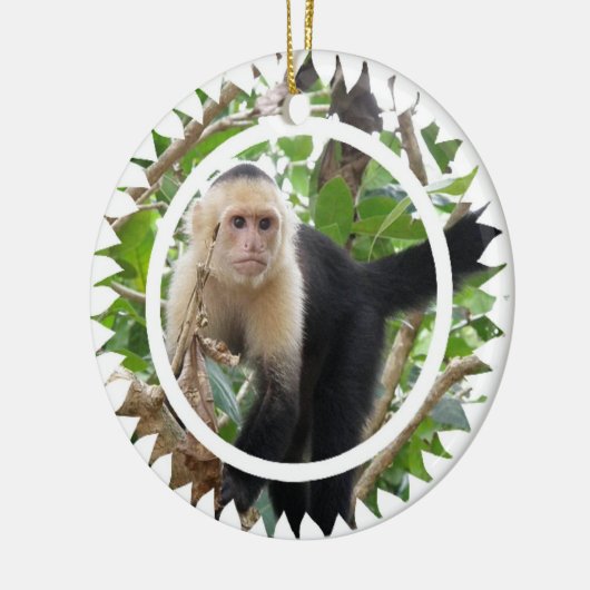 White faced Capuchin Monkey Ornament (Links)