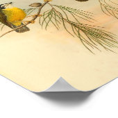 White faced Flycatcher Yellow Bird Print (Hoek)