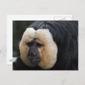 White Faced Saki Monkey Briefkaart (Voorkant / Achterkant)