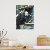 White-faced Saki Monkey Poster (Keuken)