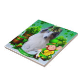 White factor Merle Headed Rough Collie  Tegeltje (Zijkant)