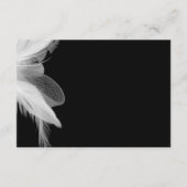 White Feathers 3.5x5 Enclosure Card 2 Informatiekaartje (Voorkant)