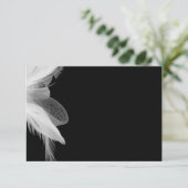 White Feathers 3.5x5 Enclosure Card 2 Informatiekaartje (Staand voorkant)