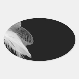 White Feathers Oval Sticker