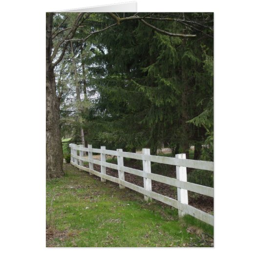 White Fence (Voorkant)