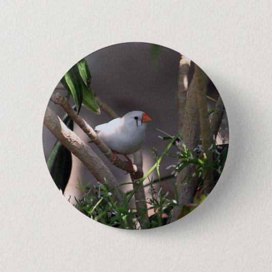 White Finch foto Ronde Button 5,7 Cm (Voorkant)
