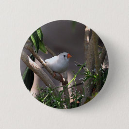 White Finch foto Ronde Button 5,7 Cm