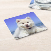 White Fins Lapphund Puppy Cute Kartonnen Onderzetters (Schuin)